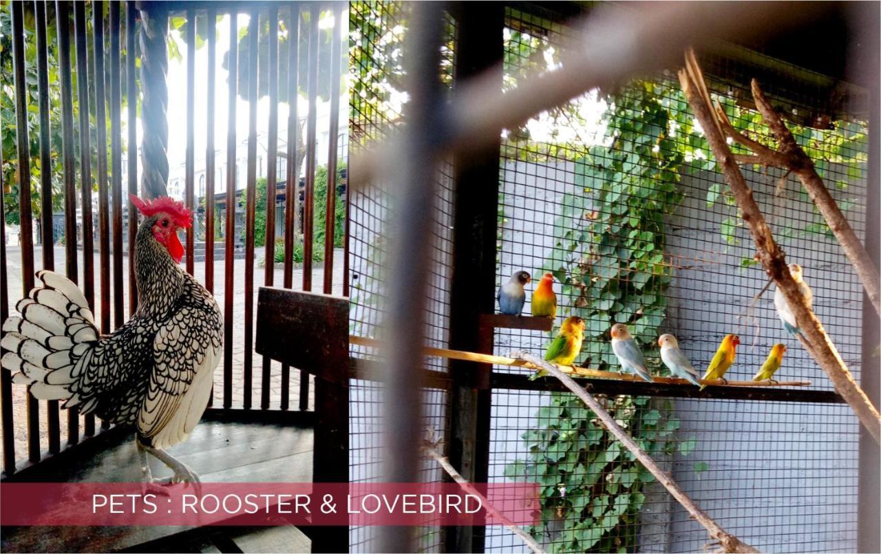 ラマダ スイーツ バイ ウインダム ソロ スラカルタ エクステリア 写真
